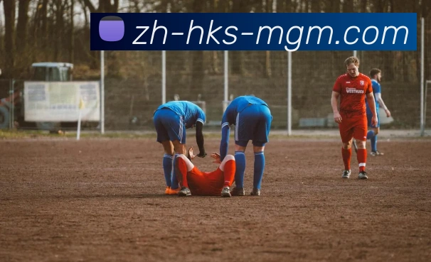 App Interface Preview